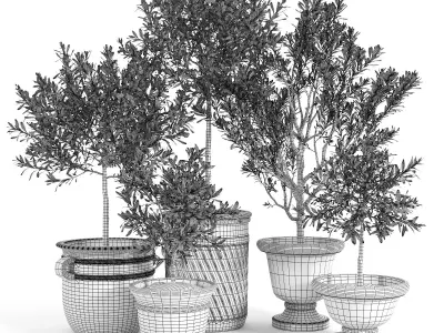 Eclectic Villa Planters 2 3D model