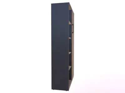 Wardrobe With Door And Shelfs In Wenge 3D model