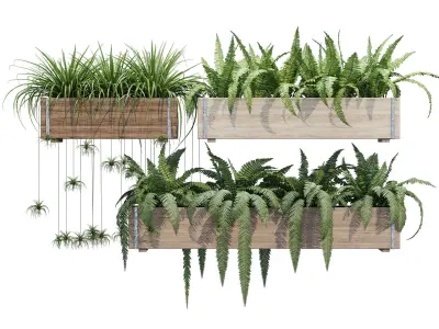 Banded Redwood Window Box 3D model