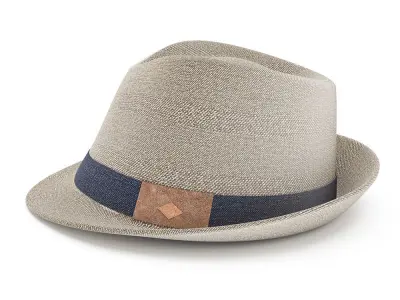 The Bastion Hat  3D model