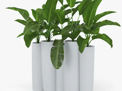 bamboo Progettato dallo studio francese Tous Les Trois banana 3D model