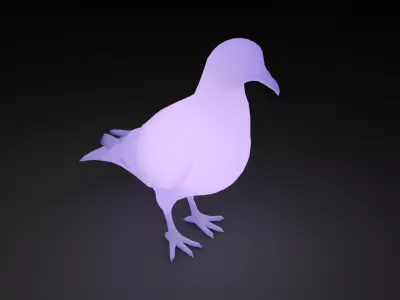 Indirect lighting for pigeons 3D model
