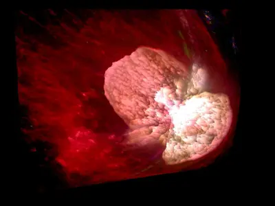 Homunculus Nebula 3D model