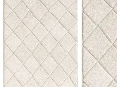 Leah Shag Rug 3D model