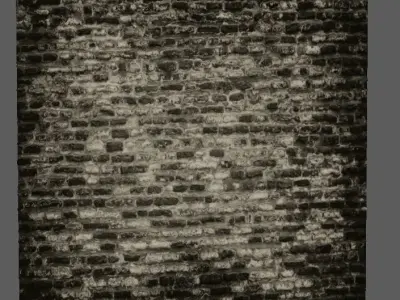 Walls Pack 3D Models 3D model