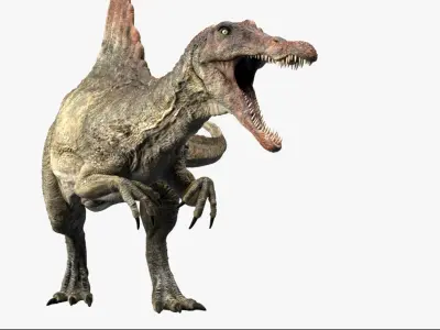  Spinosaurus Rigged 3D 