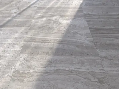 Floor Navona Grey Vein 60x60 Texture