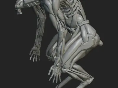 warrior-Skanda human skeleton 3D model