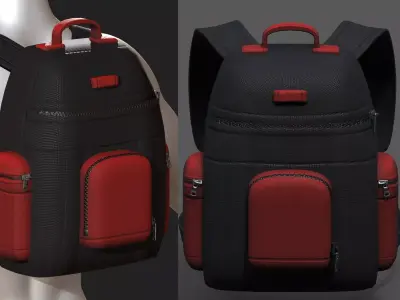 Backpack bag baggage Color 3d low poly Low-poly 3D model 3D model