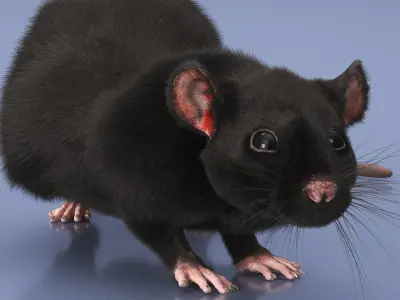  Fancy Rat Rigged Fur 