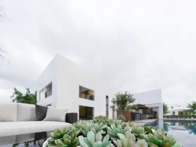 ProVis3D 005-Savion Residence 3D model