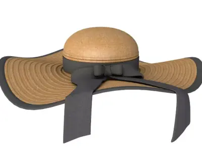 Hat Collection 3D model