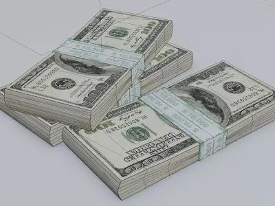 One hundred dollar package in 3D 3D model