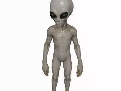 Gray Visitor from Zeta Reticuli 3D print model