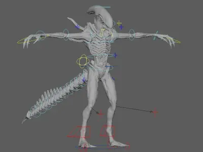 Alien Xenomorph 3D Production Model Rigged  3D model