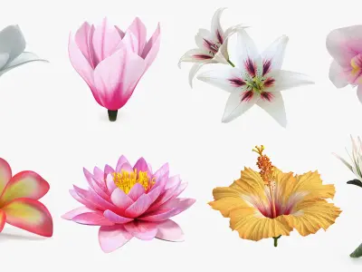  Flowers Collection 12 