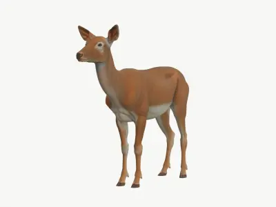  Realistic 3D Deer Model Low Poly PBR 
