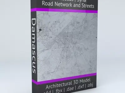 Damascus Road Network and Streets 3D model