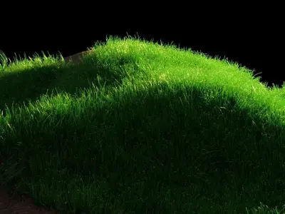 Blender Realistic Grass With Particle System Low-poly 3D model