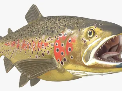  Brown Trout Fish Rigged For Blender 