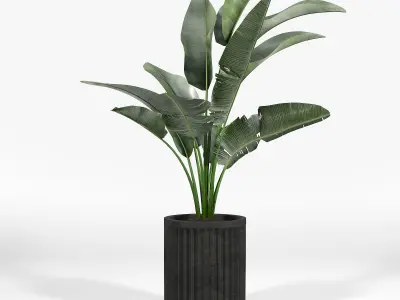 Cozzo Planter stone Yard Inc 3D model