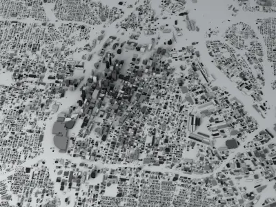 Los Angeles Downtown Streets and Buildings 3D model