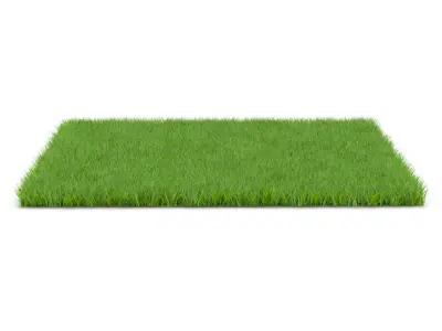 GRASS Low-poly 3D model