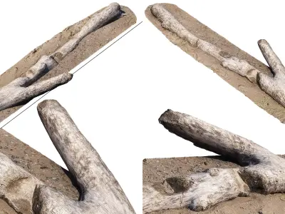 Log on the sand  3D model