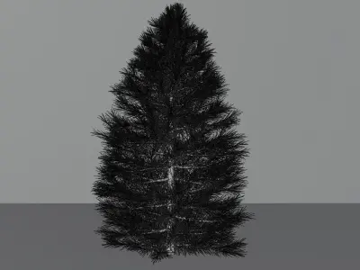 Pine Tree 1 3D model