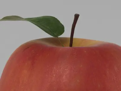Apple 001 3D model
