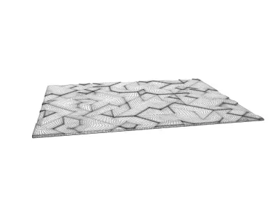 Asymetric Wool Rug 3D model