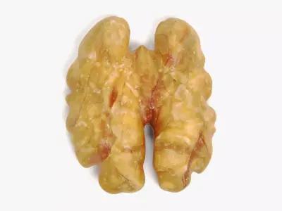 Walnut Kernel - Realistic Organic Nutmeat 3D model