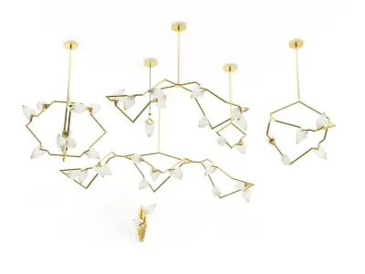 Bec Brittain Seed Collection 3D model