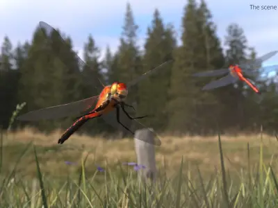  Red Dragonfly Fur Rigged 