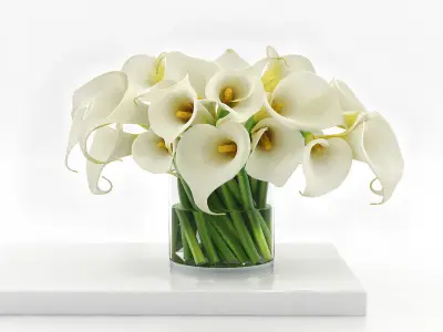 Dining Set 134 3D model