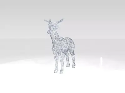 Deer Wireframe 3D model