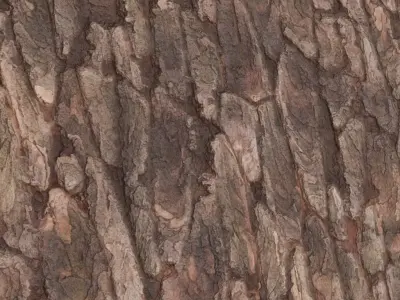 High-Gloss Varnished Pine Wood Planks PBR Seamless Texture