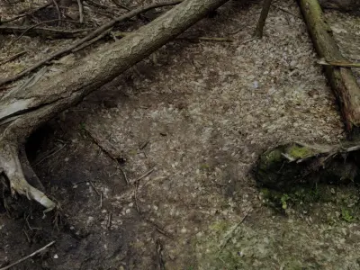 Fallen tree 3D model