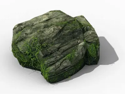 Climbed rattan - stone 01 3D model