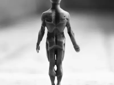 Male Planes of the Body - John Asaro 3D model