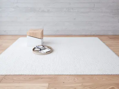 Elsa Rug 3D model