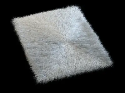 Carpet longe pile 3D model