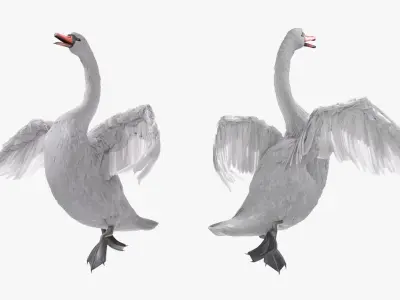  White Swan Swimming Animated Rigged for Blender 