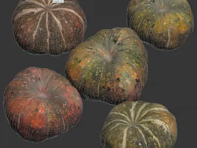 Pumpkin - 5 Models Low-poly 3D model