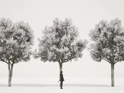 PREMIUM PLANT PACK - 10 realistic Korean Street Tree Pack 02 3D model