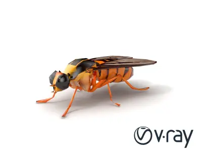 Bioluminescent Firefly 3D model pack Low-poly 3D model