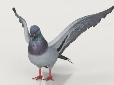  Low Poly Pigeon Flying Animated Rigged For Maya 