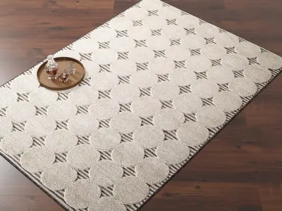 Quadrature Rug 3D model