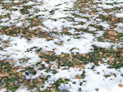 Autumn soil covered in snow 3D model