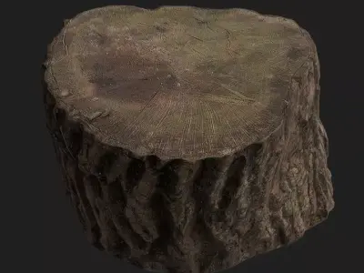 Wood Stumps 3D model
